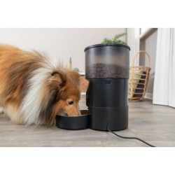 Comedero automático Trixie TX-C Smart en uso con perro
