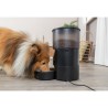 Comedero automático Trixie TX-C Smart en uso con perro