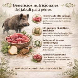 Beneficios nutricionales jabalí para perros