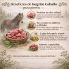 Beneficios de la carne de caballo en comida húmeda para perros