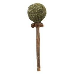Piruleta Matatabi Trixie 11 cm para gatos
