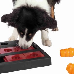 Perro utilizando el juego Trixie Dog Activity Chess